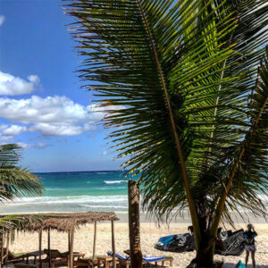 Palms trees and palapas